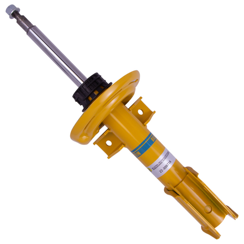 Picture of B6 Performance - Suspension Strut Assembly