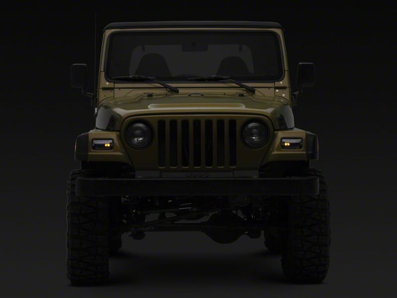 Picture of Raxiom RAX Side Markers Sidemarkers & Indicators - J211785
