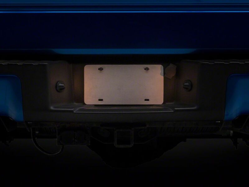 Picture of Raxiom RAX License Plate Bulbs - T584720