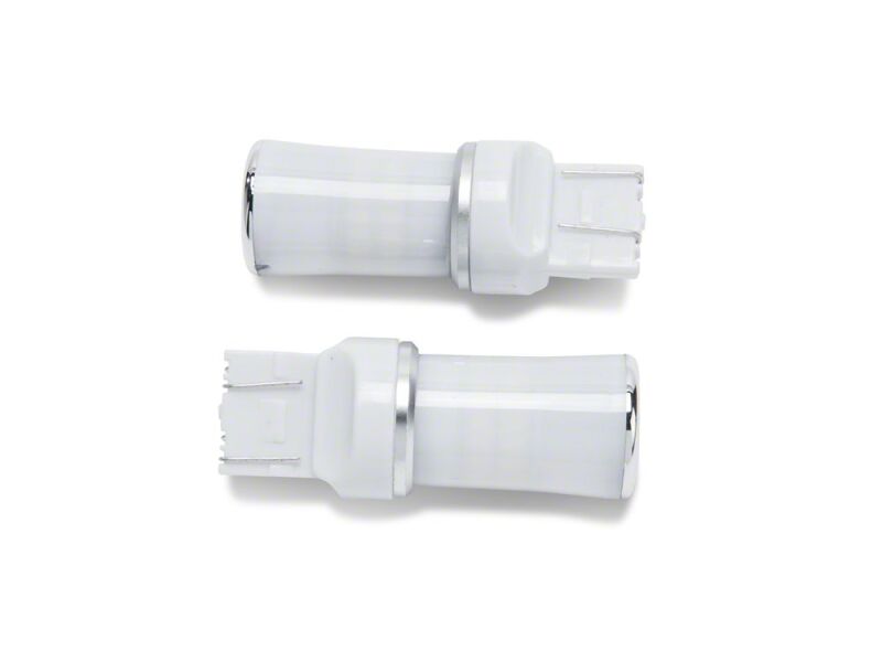 Picture of Raxiom RAX Bulbs - J122520-JL