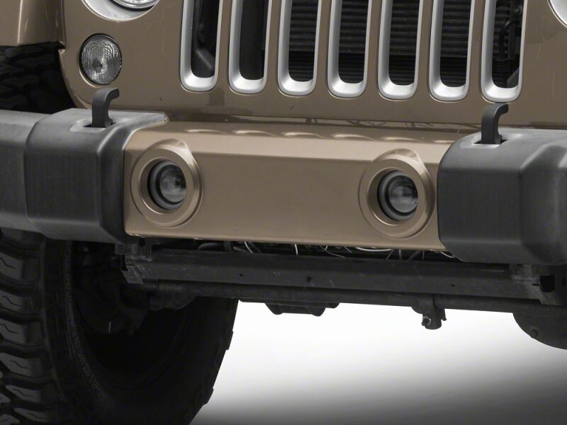Picture of Raxiom RAX Fog Lights - J238997