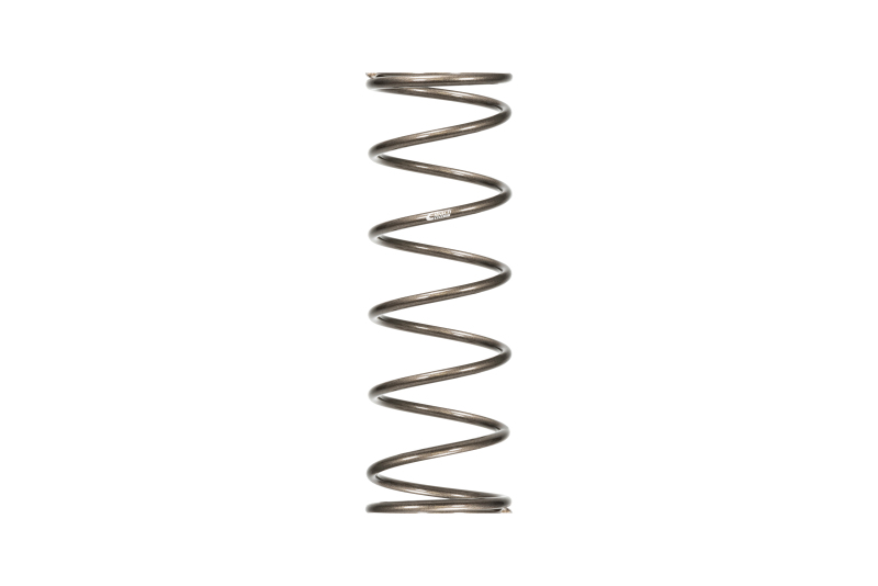 Picture of Eibach EIB ERS Springs Rear Coilover Springs - PR1100.500.0200