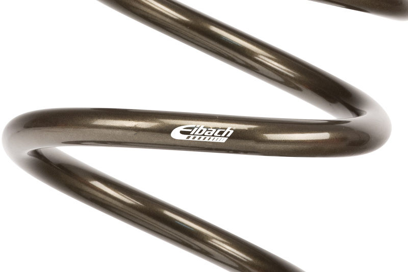 Picture of Eibach EIB ERS Springs Rear Coilover Springs - PR2000.500.0100