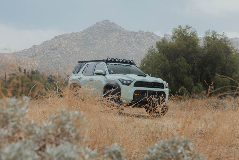 Picture of DV8 Offroad DVE Molle Panels Exterior Trim - RRTF3-02EM