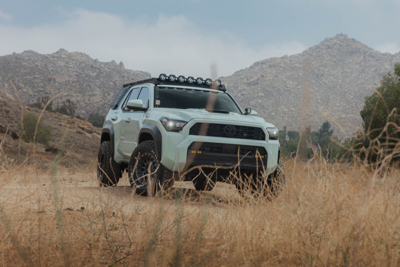 Picture of DV8 Offroad DVE Molle Panels Exterior Trim - RRTF3-02EM