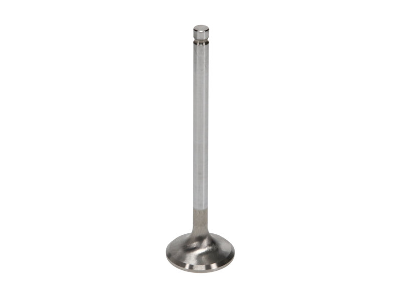 Picture of Manley Performance MAN Race Master Valves - 11125-1