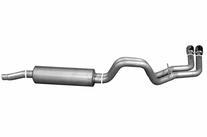 Picture of Gibson GIB Cat-Back-Dual Sport - 66204