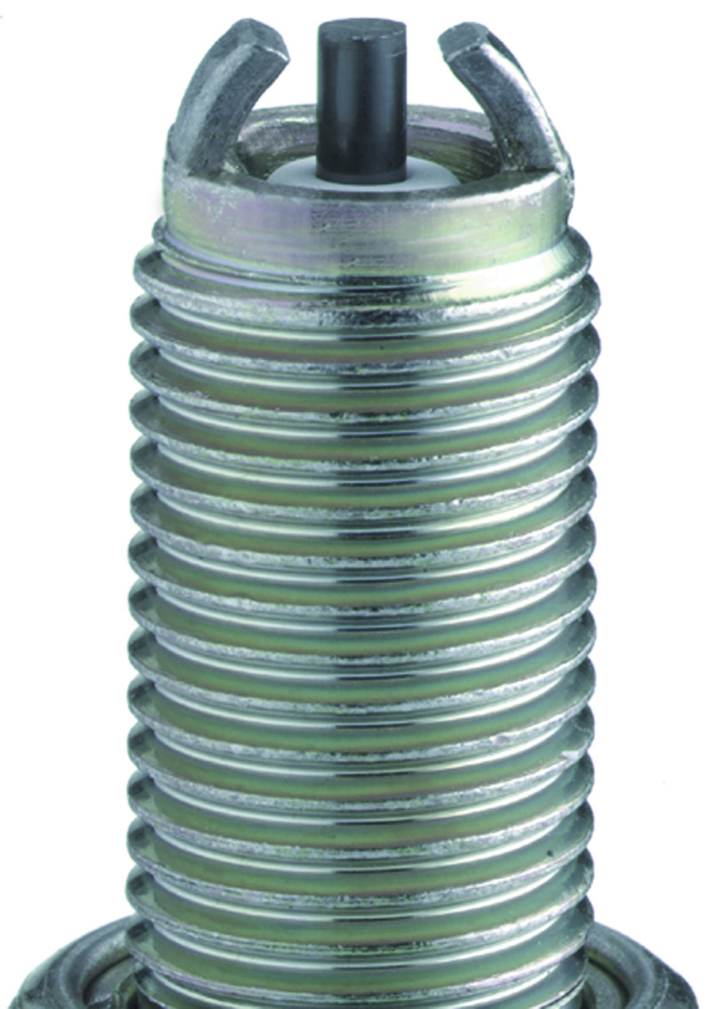 Picture of NGK BLYB Spark Plugs - 1493