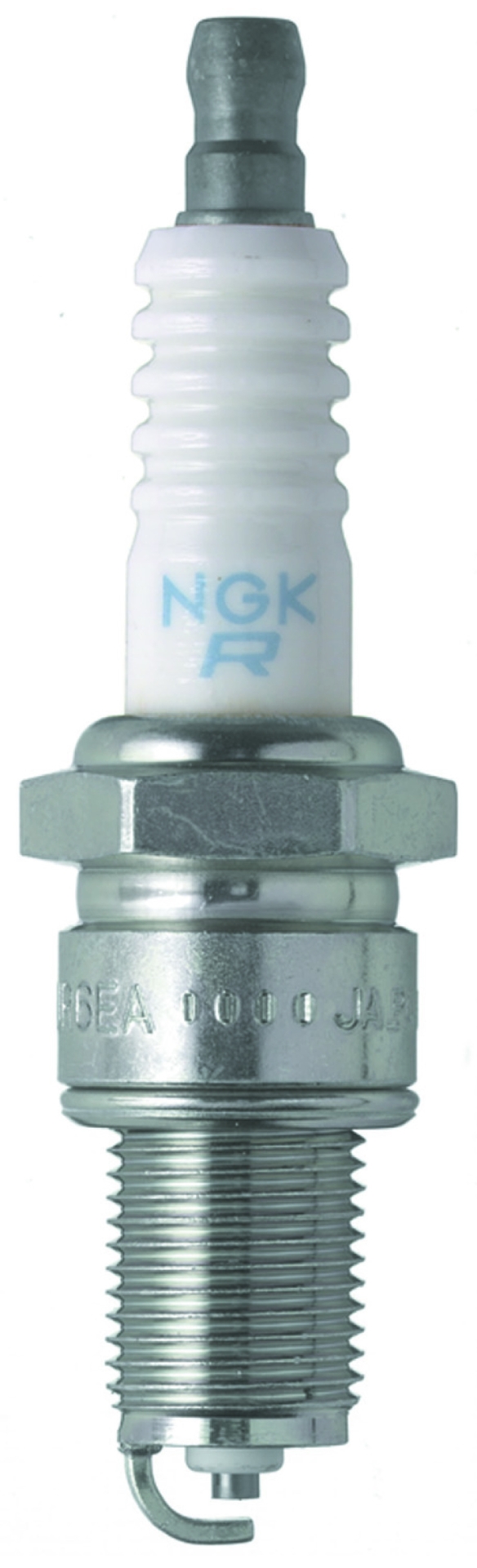 Picture of NGK Standard Spark Plugs - 7031