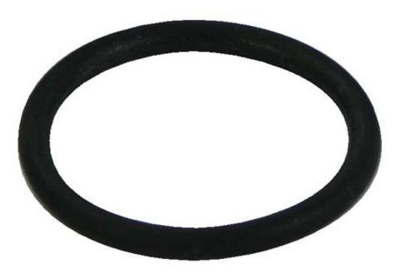 Picture of Moroso MOR O-Rings - 97319