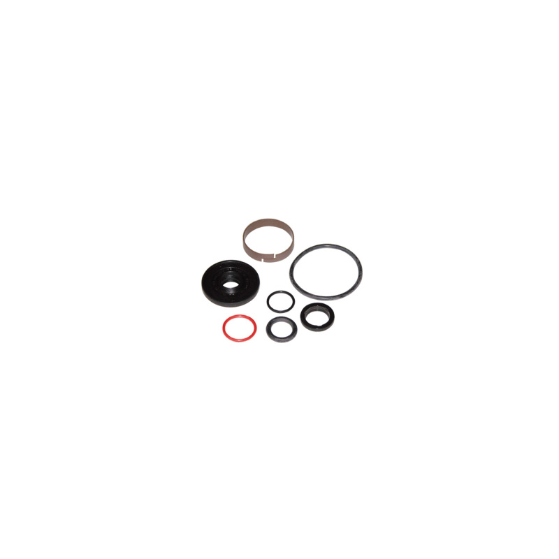 Picture of QA1 QAP Rebuild Kit Shocks and Struts - RK02