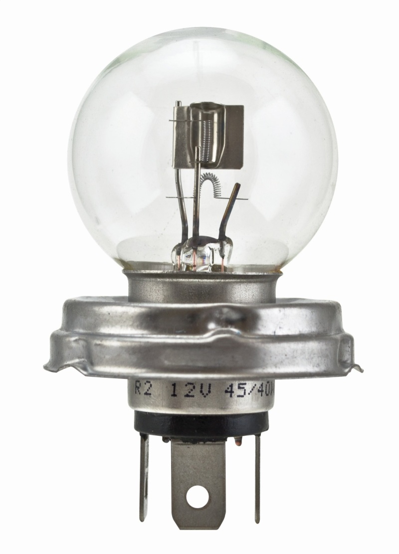 Picture of Hella Bulbs - 7951