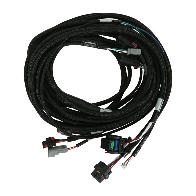 Picture of AEM Wiring Harnesses Rear - 30-8601