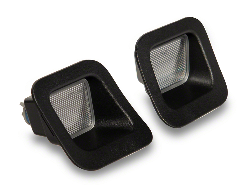 Picture of Raxiom RAX License Plate Bulbs - R145024
