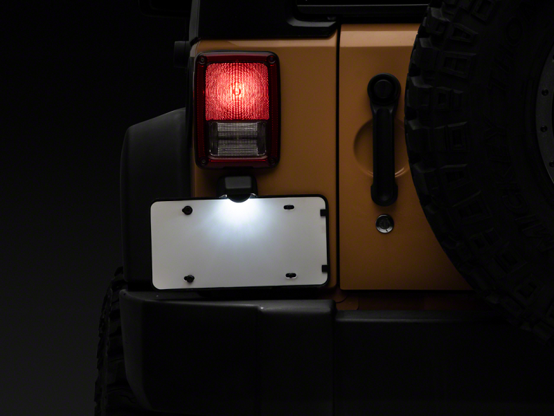 Picture of Raxiom RAX License Plate Bulbs - J132812
