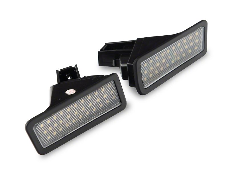 Picture of Raxiom RAX License Plate Bulbs - R135974