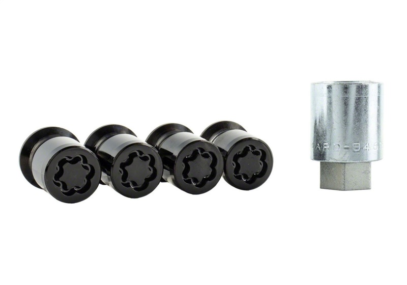 Picture of Ford Racing FR Lug Nut Kits - M-1A043-B