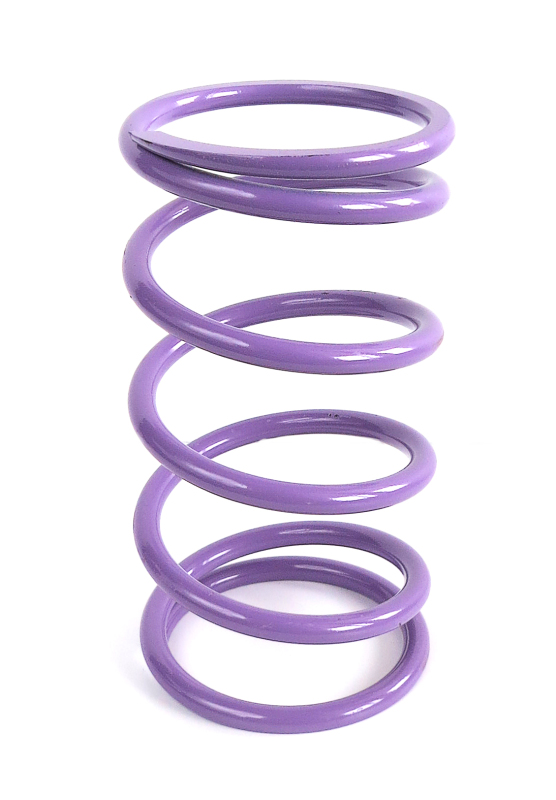 Picture of EPI Clutch Springs Clutch Rebuild Kits - YDS6