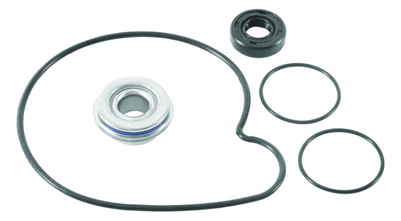 Picture of QuadBoss QBS Water Pumps B - 565299