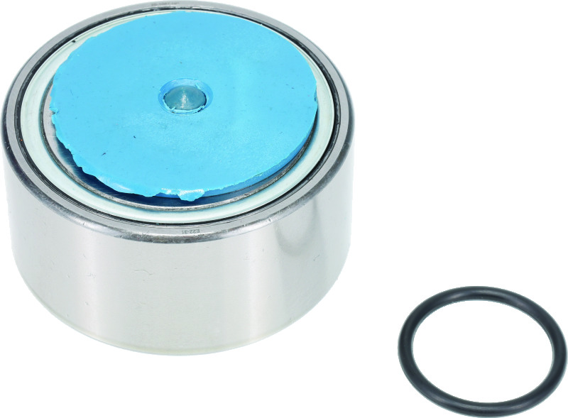 Picture of QuadBoss QBS Wheel Bearings - 983468