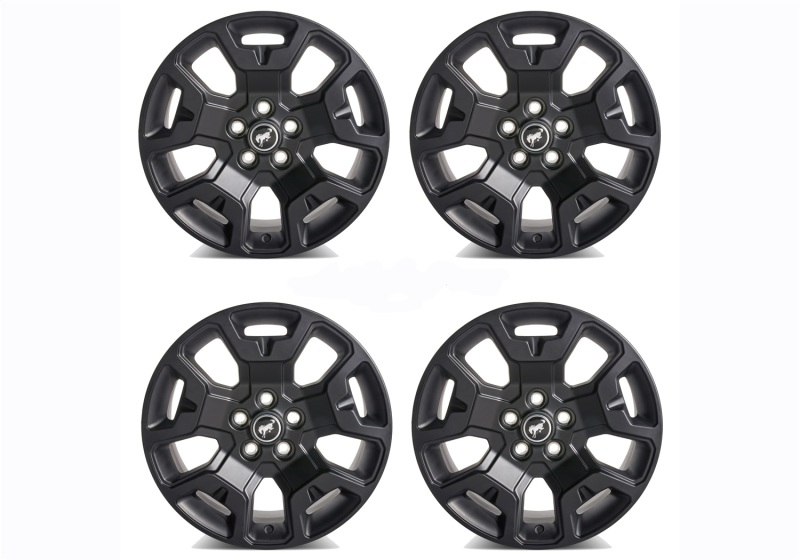 Picture of Ford Racing FR Wheels - M-1007K-S17BSB