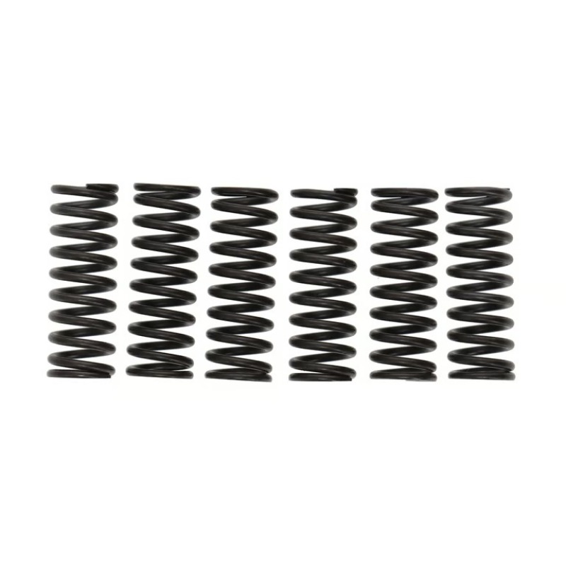 Picture of Wiseco WIS Clutch Spring Kits Clutch Rebuild Kits - CSK061