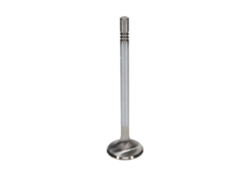 Picture of Manley Performance MAN Race Master Valves - 11625-8