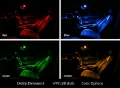 Picture of Diode Dynamics 194 LED Bulb HP3 LED Pure - White Pair