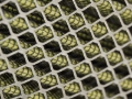 Picture of aFe Magnum FLOW Custom Air Filter 18-1/8 IN L x 7-1/4 IN W x 4-1/8 IN H w/ Expanded Metal