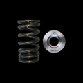 Picture of Brian Crower BC Spring & Retainer Kits Valve Springs, Retainers - bc0365