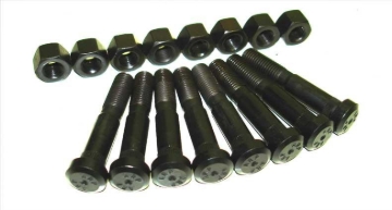 Picture of ARP Rod Bolt Kits - 207-6002