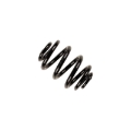Picture of B3 OE Replacement - Coil Spring