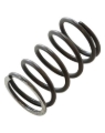 Picture of HKS Wastegate Spring - 1405-RA031