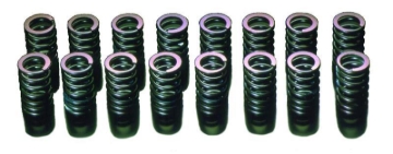 Picture of HKS Valve Springs Valve Springs, Retainers - 22001-AN001