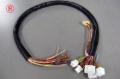 Picture of HKS Wiring Harnesses - 4202-RT029