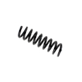 Picture of B3 OE Replacement - Coil Spring