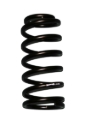 Picture of Skyjacker SKY Coil Springs Lift Springs - LIB25R