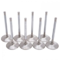 Picture of Intake Valves for #60979 Cylinder Heads