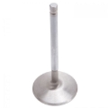Picture of Intake Valves for #61409 & #77409 Cylinder Heads