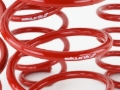 Picture of Skunk2 Racing SK Lowering Springs - 519-05-1775
