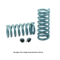 Picture of Hotchkis HOT Coil Springs Lowering Springs - 1916F