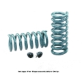 Picture of Hotchkis HOT Coil Springs Lowering Springs - 1916F