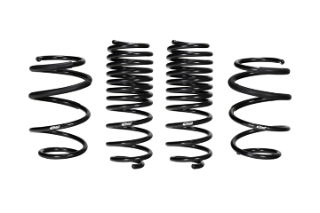 Picture of Pro-Kit Lowering Springs
