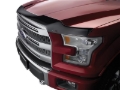 Picture of WeatherTech WT Hood Protector Stone/Bug Deflectors - 55099