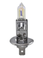 Picture of Hella Halogen Bulb - H83115061