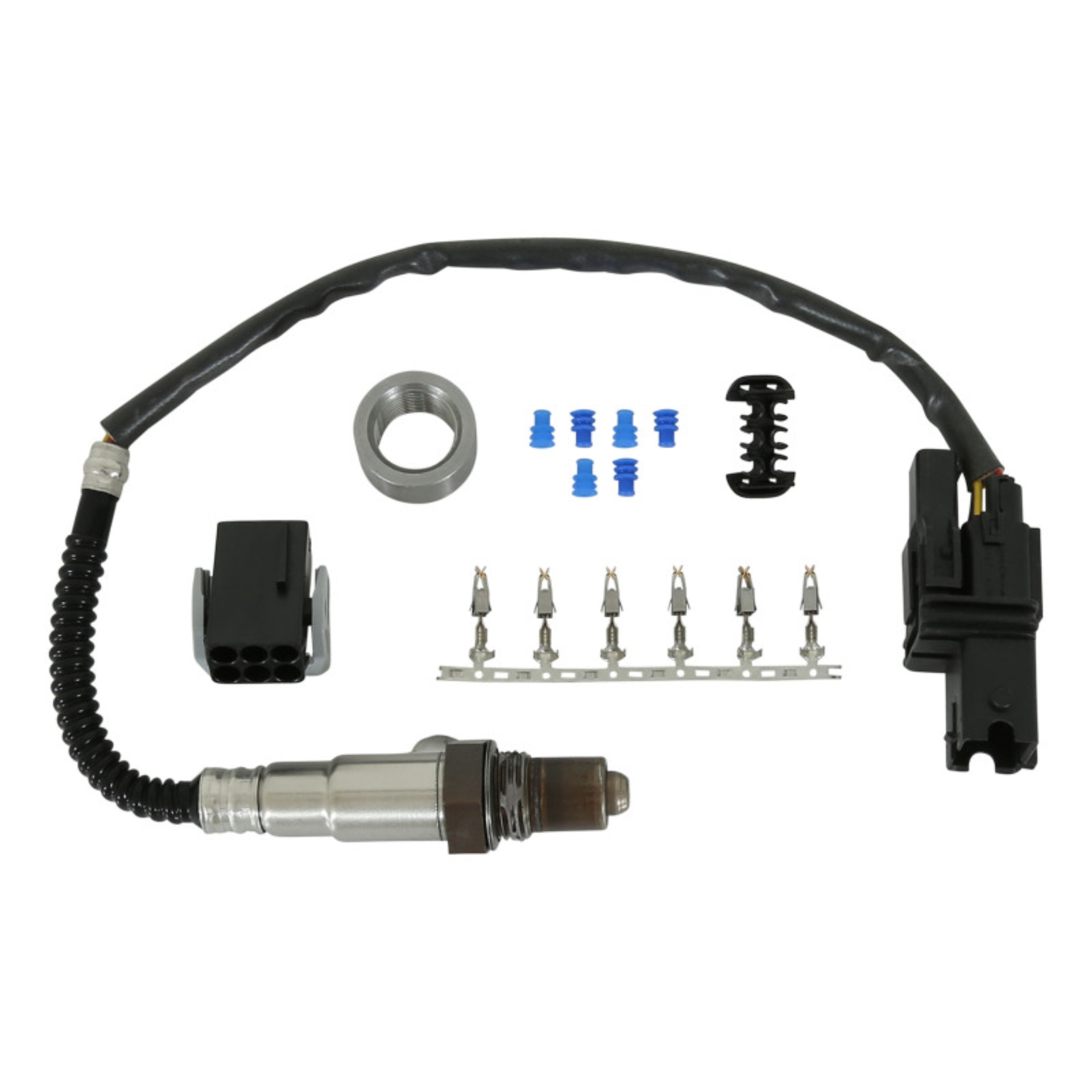 Picture of AEM Digital Gauges - 30-2002