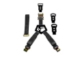 Picture of N-Fab NFB Bed Mounted Tire Strap Spare Tire Carriers - BM1TSBK