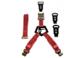 Picture of N-Fab NFB Bed Mounted Tire Strap Spare Tire Carriers - BM1TSRD