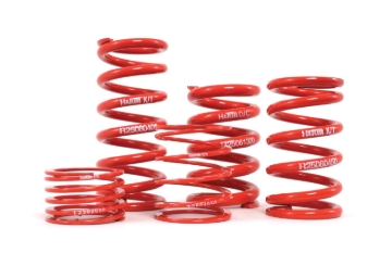 Picture of H&R HR 60mm ID Race Springs Coilover Springs - ZF050-120