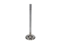 Picture of Race  Ford 4.6L Mod  Int. Vlv Kit - 37.00mm Dia.,5.339 in. O/A ,.2750 in. Stem